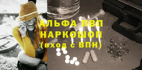 бошки Гусев