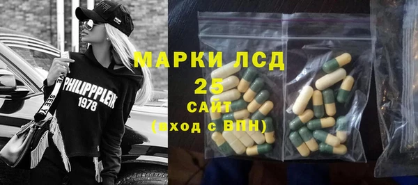 мет Ельня