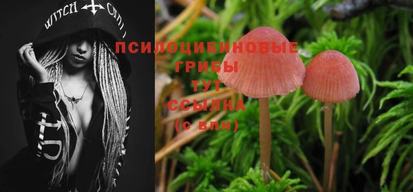 кокаин колумбия Пересвет