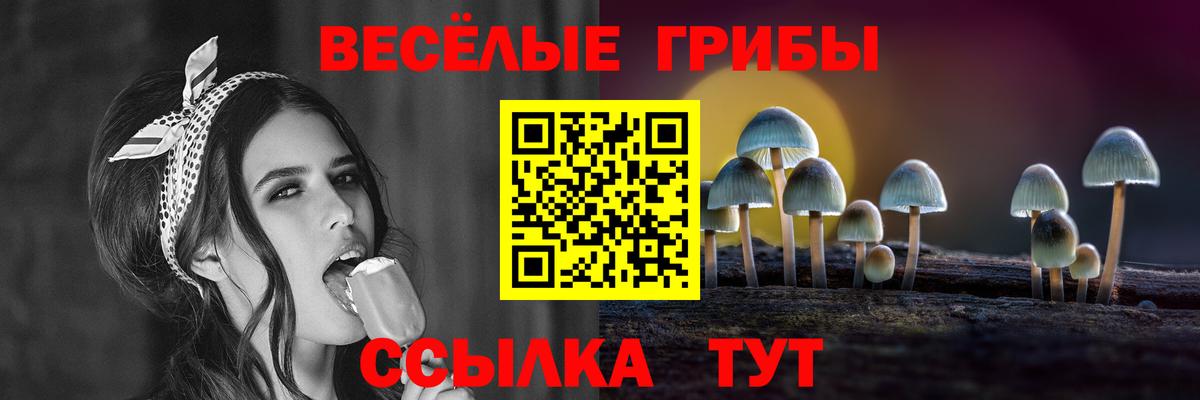 Псилоцибиновые грибы Cubensis Обь